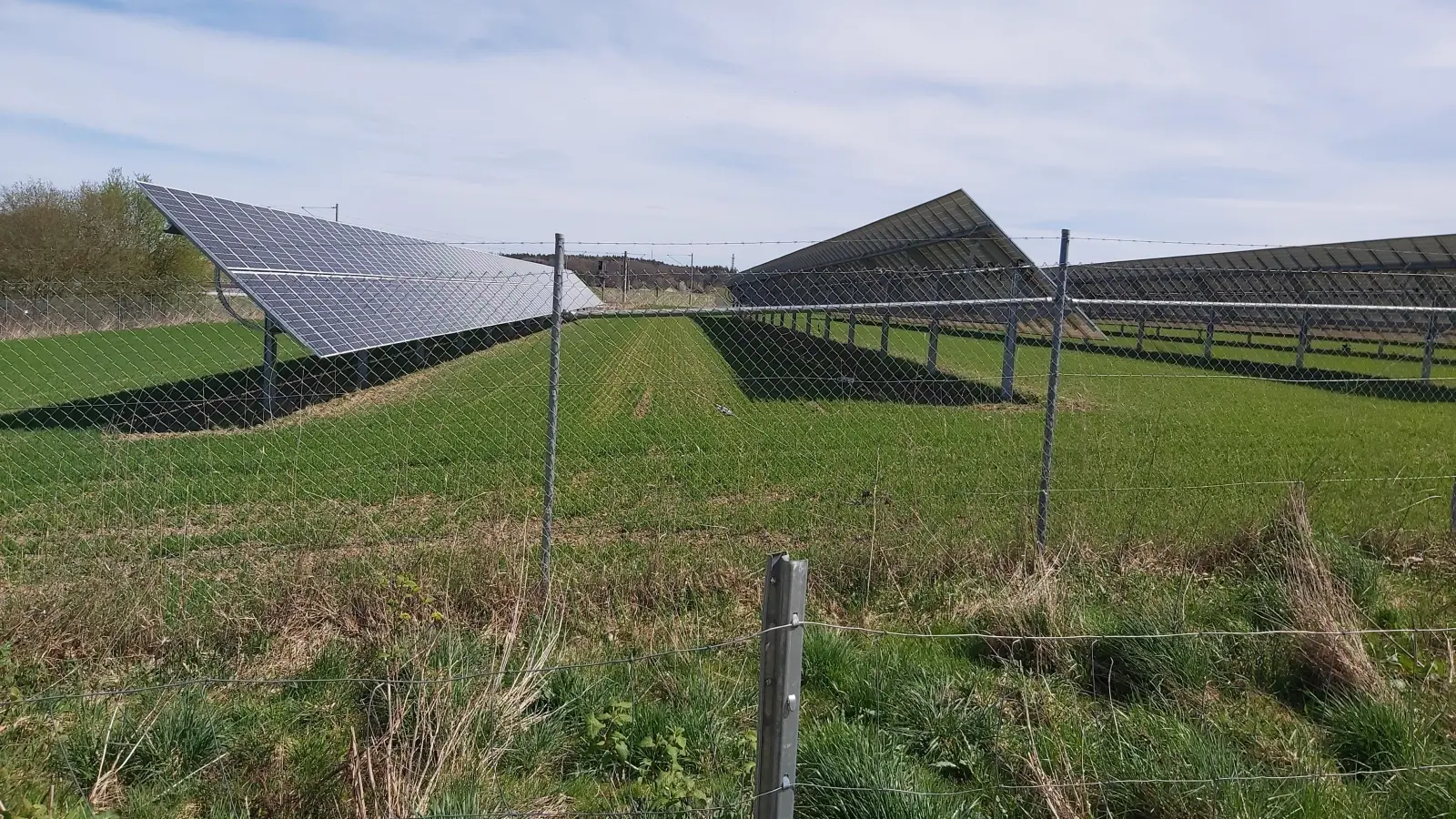 So wie in Althegnenberg könnte auch die Planegger Agri-PV-Anlage aussehen: Zwischen den Modulreihen ist Platz für Ackerbau. Durch das Trackingsystem der Anlage schwenken die Module mit dem Sonnenstand. (Foto: Oliver Pannke)