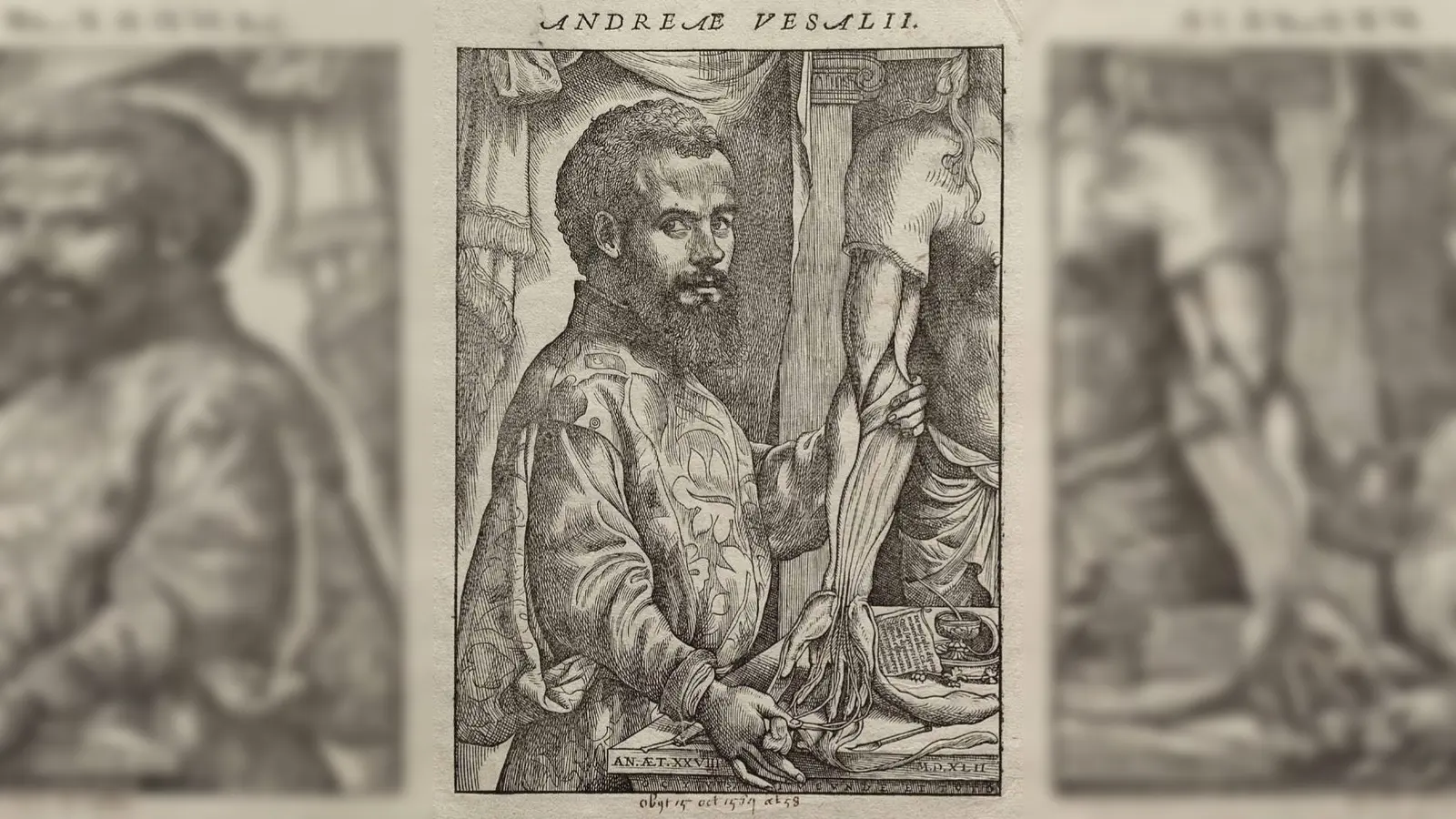 Bild 1: Jan Stephan van Calcar zugeschrieben (Foto: Ursprung unbekannt, Gemeinfrei, https://commons.wikimedia.org/w/index.php?curid=457255)