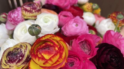 Auch mit heimischen Blumen lassen sich wunderbare Tischdekorationen gestalten.  (Foto: hw)