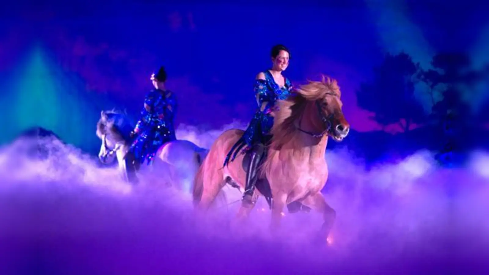 Mit Pferden lernt man nie aus, sagt Reiterin Meike Arnason.   (Foto: VA)