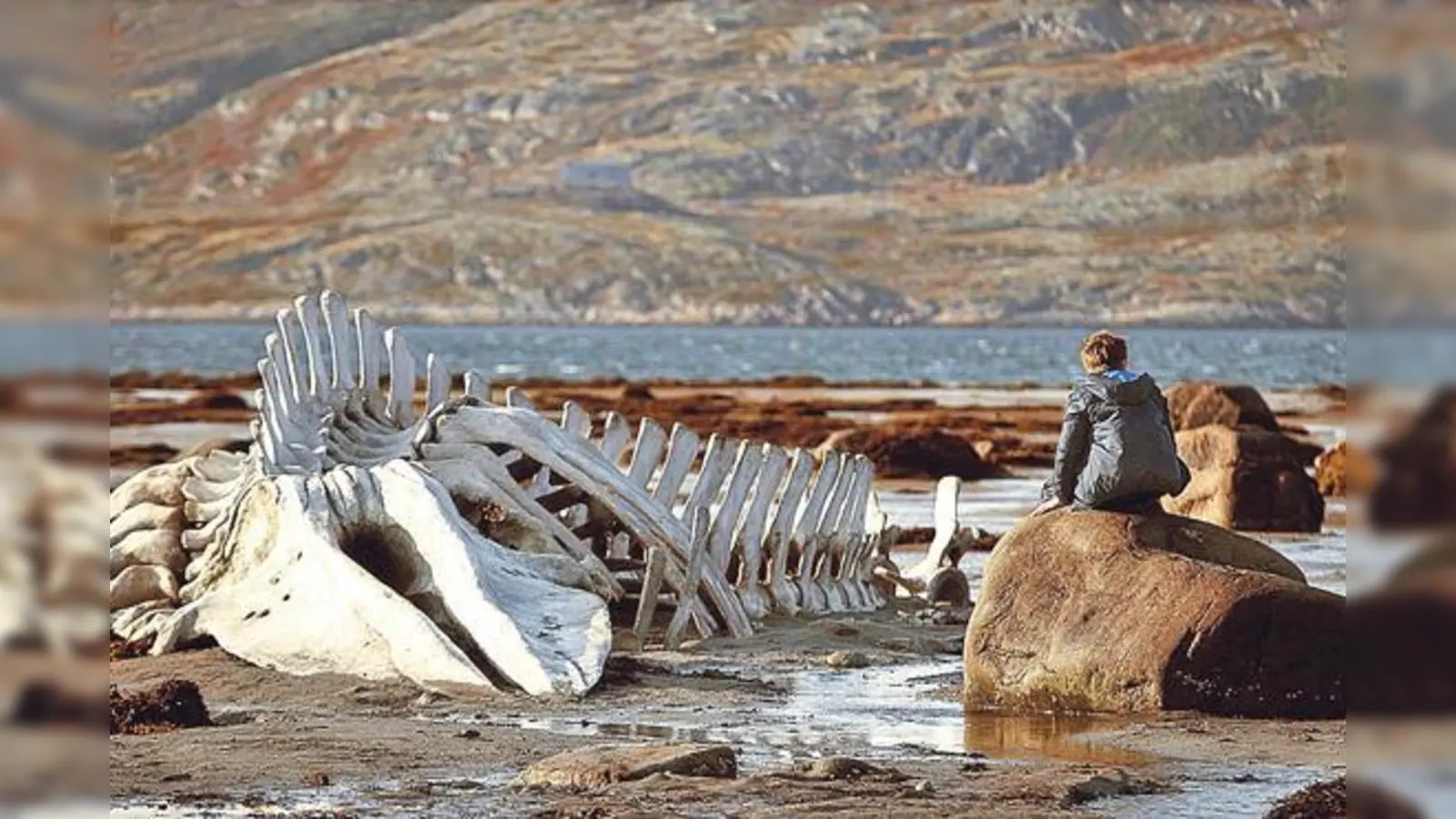 Einen Blick in den Norden Russlands wagt das oskarnominierte Filmdrama »Leviathan«.	 (Foto: VA)