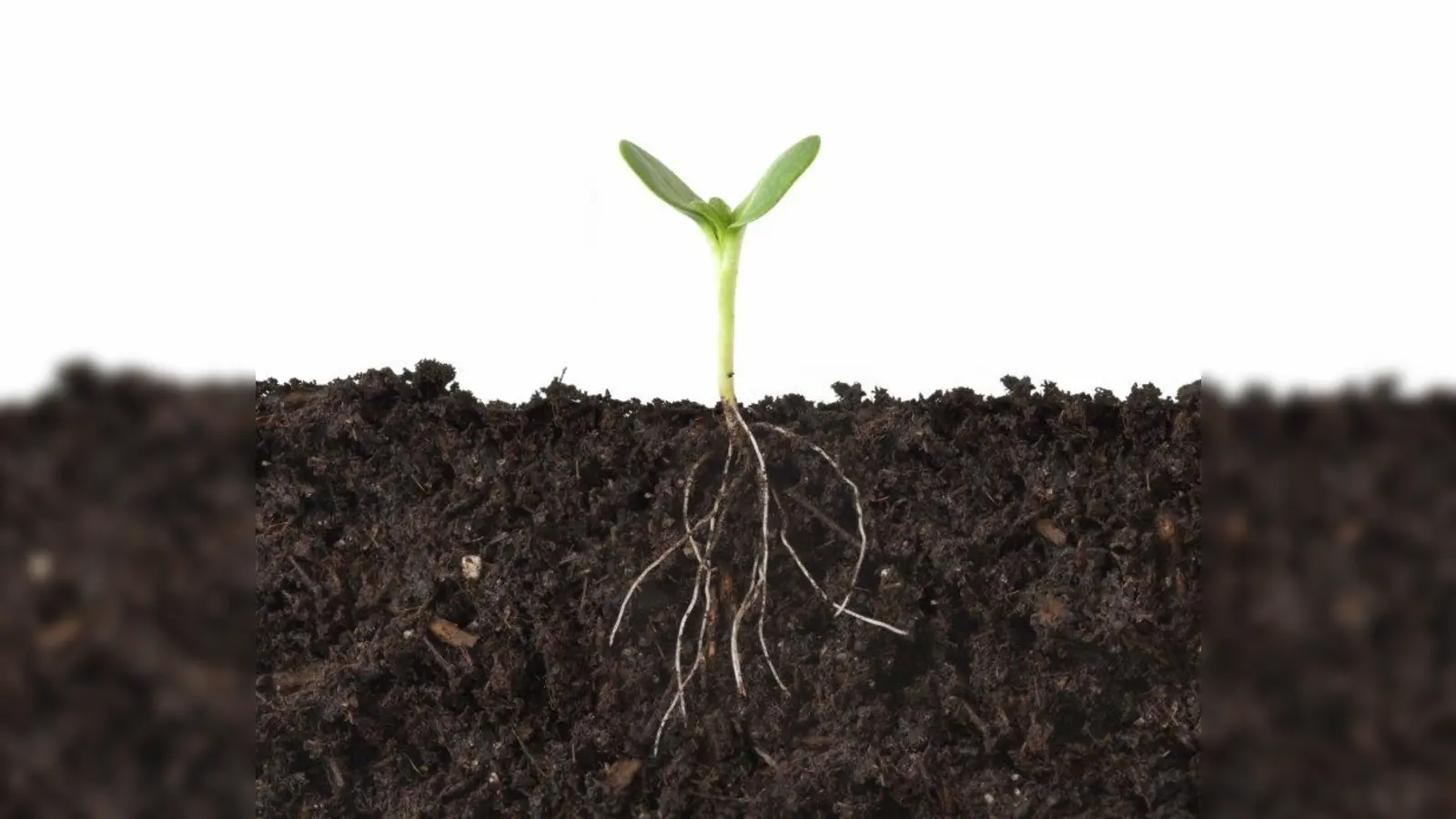 Besondere Themenwoche am Abenteuerspielplatz in Laim: Von Dienstag, 21. Mai, bis Freitag, 24. Mai, steht das Elemet „Erde” im Vordergrund. (Foto: photos.com)