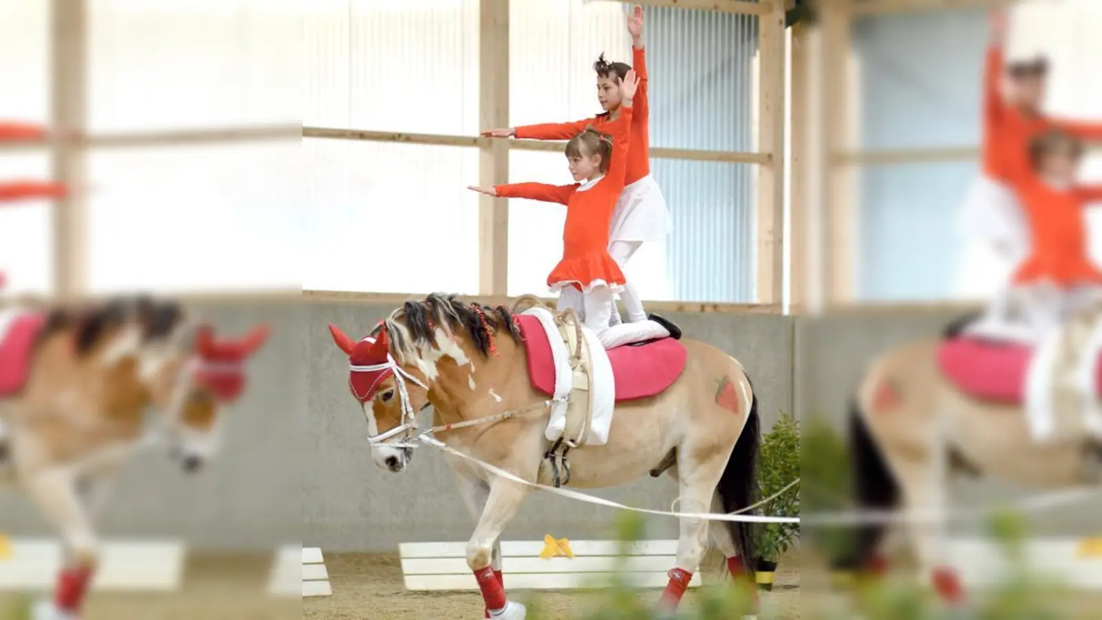 Beim Voltigierturnier in Vaterstetten waren an die 500 Teilnehmer aus ganz Deutschland vertreten. 	 (Foto: VA)