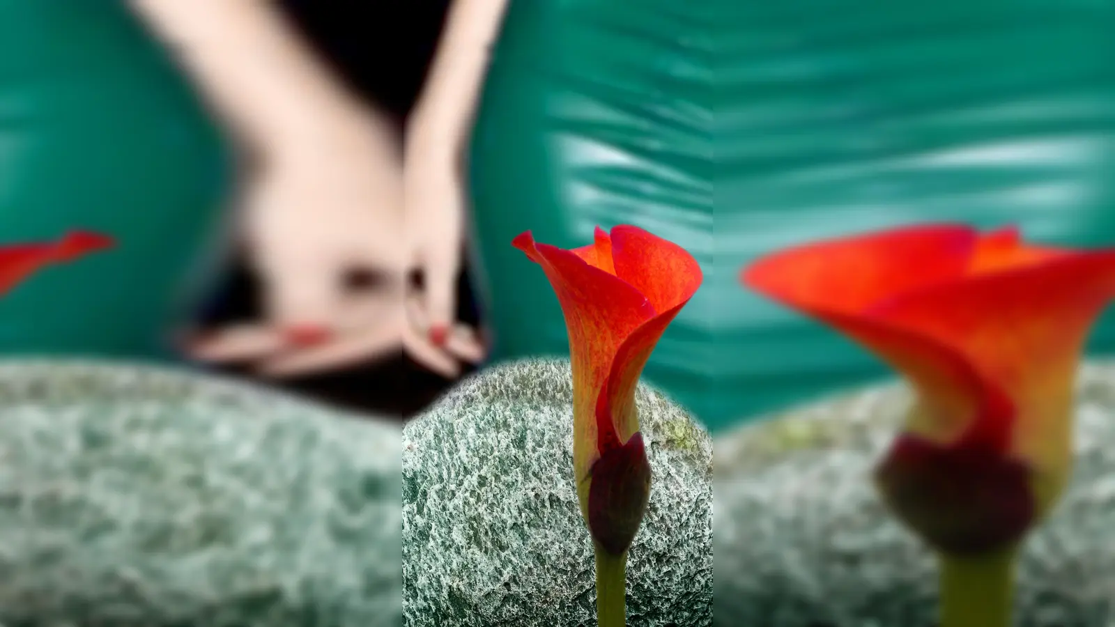 Der Künstler, Ästhet und Naturliebhaber präsentiert seine Foto- und Objektkunst in Serien, die eine ästhetische Idee umspielen. (Foto: Bernhard Claus Sander)