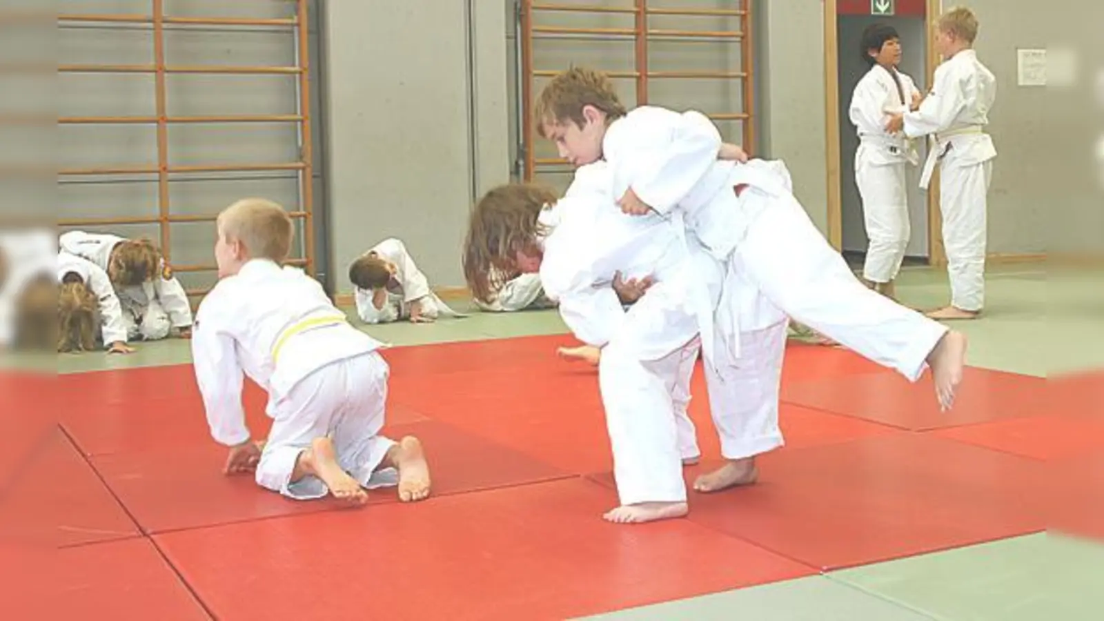 Beim TSV Grünwald startet demnächst für Kinder ein neuer Judokurs.	 (Foto: VA)