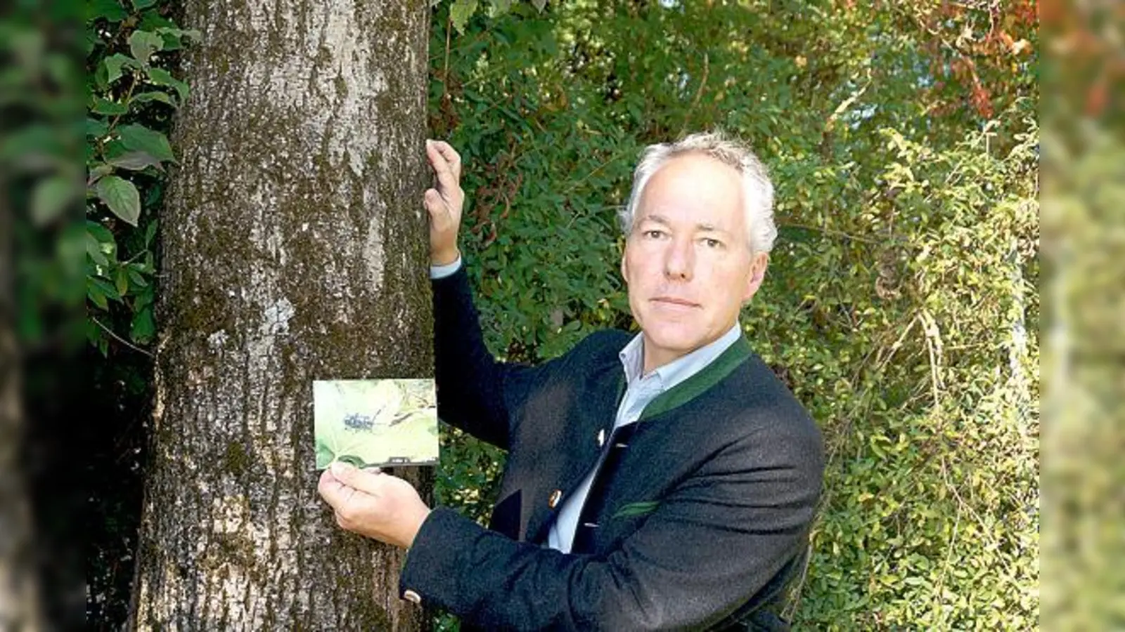Bürgermeister Günter Heyland mit einer Abbildung, die den Asiatischen Laubholzbockkäfer in Originalgröße zeigt.	 (Foto: Boschert)