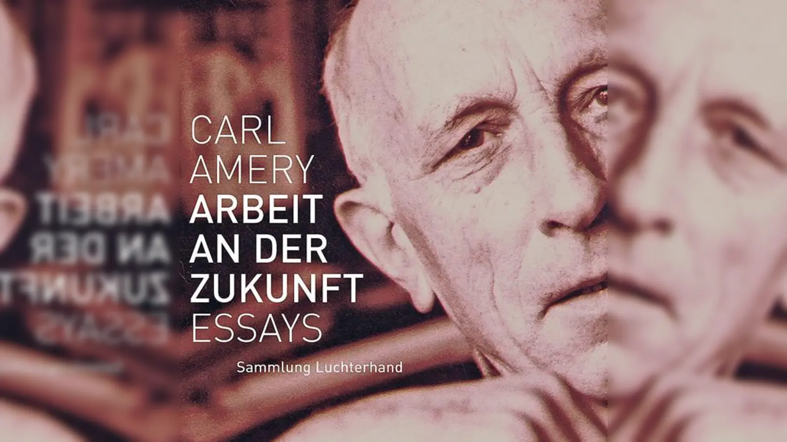 2007 erschienen Essays von Carl Amery.              (Foto: Verlag)