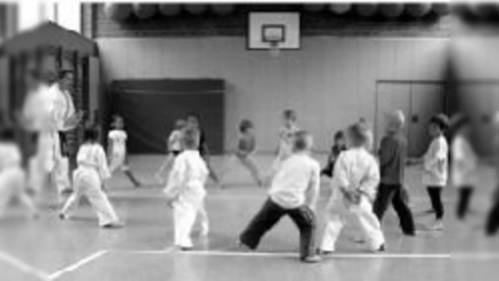 Schon ab vier Jahren können Kinder Kampfsport lernen.  (Foto: Verein)