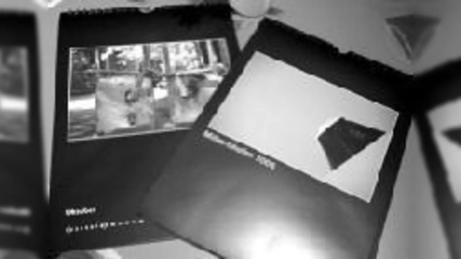 Der Stadtteil durchs Objektiv betrachtet: Der neue Milbertshofen-Kalender.	  (Foto: gf)