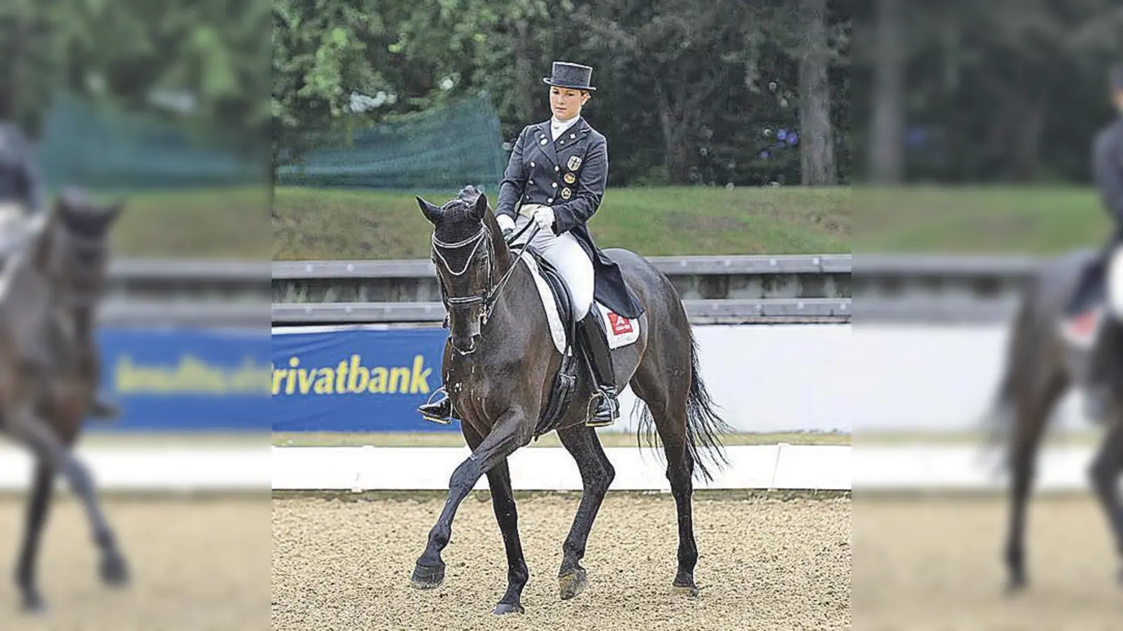 Anmutig und voller Würde  so präsentieren sich die Dressurpferde und die Reiter.  (Foto: VA)