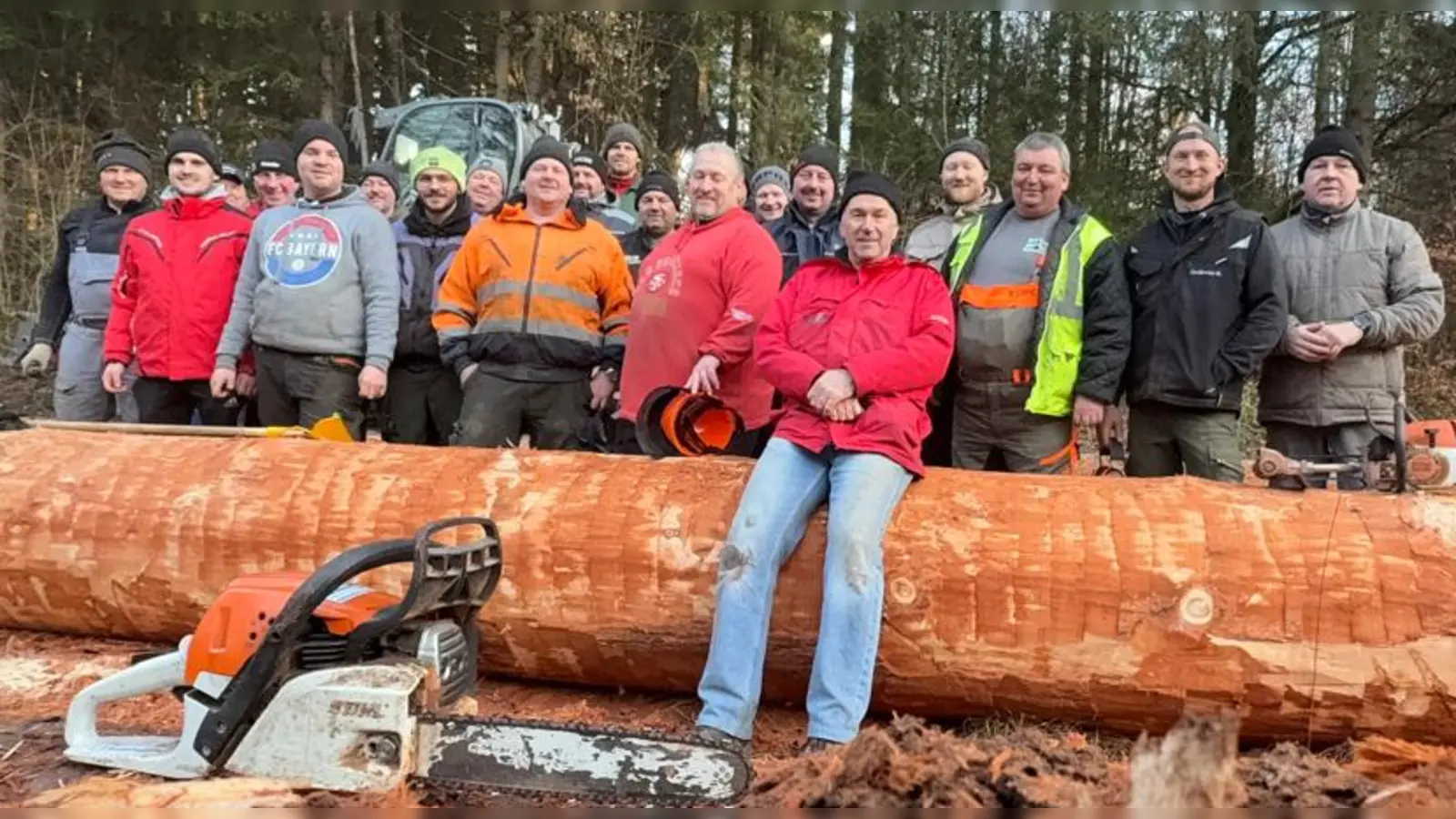 Im Dezember wurde die 44,6-Meter Douglasie im Ebersberger Forst umgelegt. (Foto: Eicherloher Maibaum GbR)