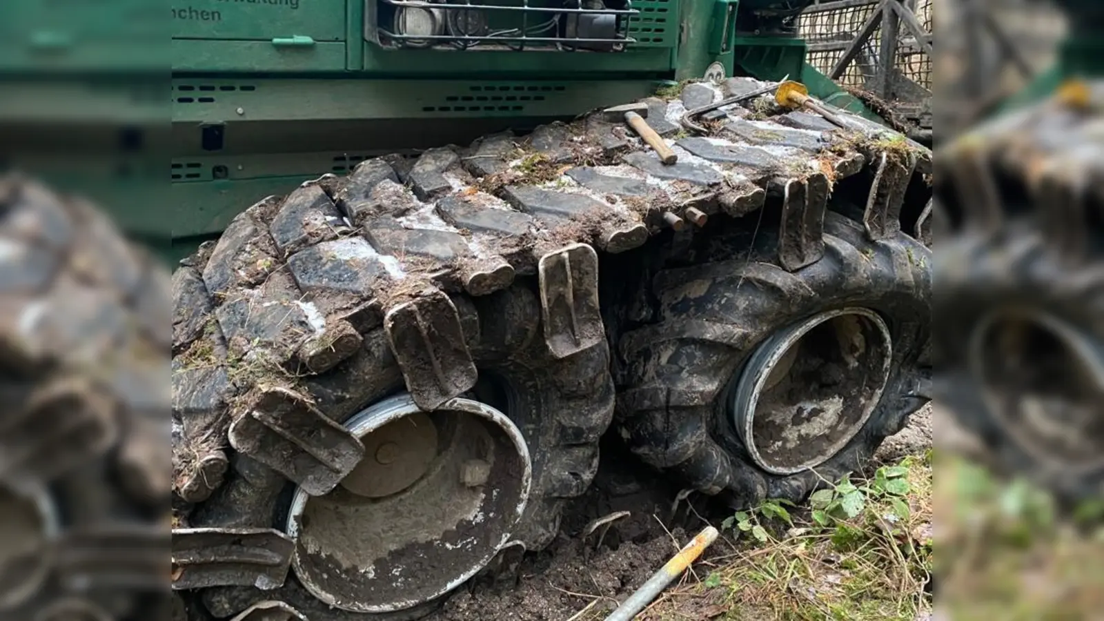 Jees Jahr pflanzt die städt. Forstverwaltung 100.000 Bäume, um zum Klimaschutz beizutragen. Nun haben Unbekannte versucht, diese wichtige Tätigkeit zu stören. (Foto: Maren Kowitz / Kommunalreferat)
