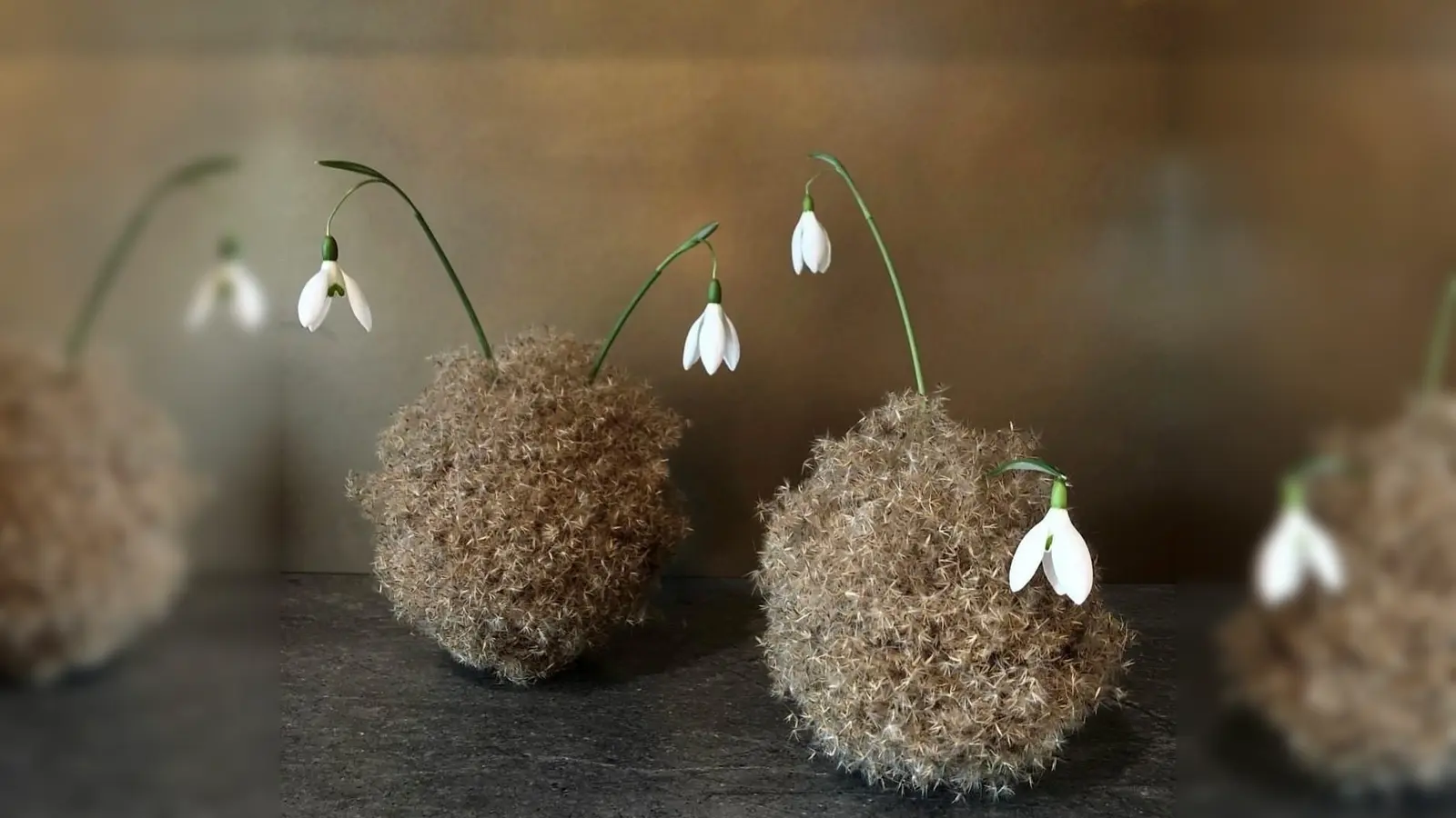 Die Floristin Naira Manukyan zeigt in der Stadtbibliothek ihre Kunstwerke. (Foto: Manukyan)