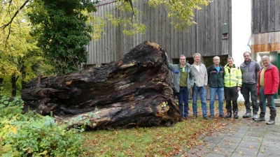 Stefan Gatter, Dr. Martin Bachmann, Heinrich Gruber, Hans Soyer, Florian Bernhard und Josef Rüegg (v.l.) mit dem Totholzstamm.  (Foto: AELF Ebersberg-Erding/LRA Ebersberg)