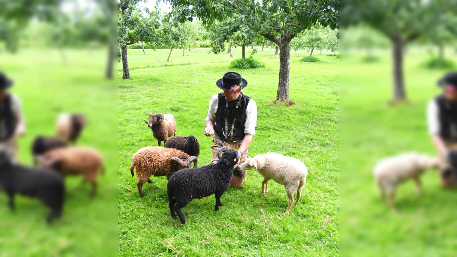 So ähnlich idyllisch könnte es in den Obstgärten von Schloss Schleißheim auch schon in früheren Zeiten ausgesehen haben.  (Foto: VA)