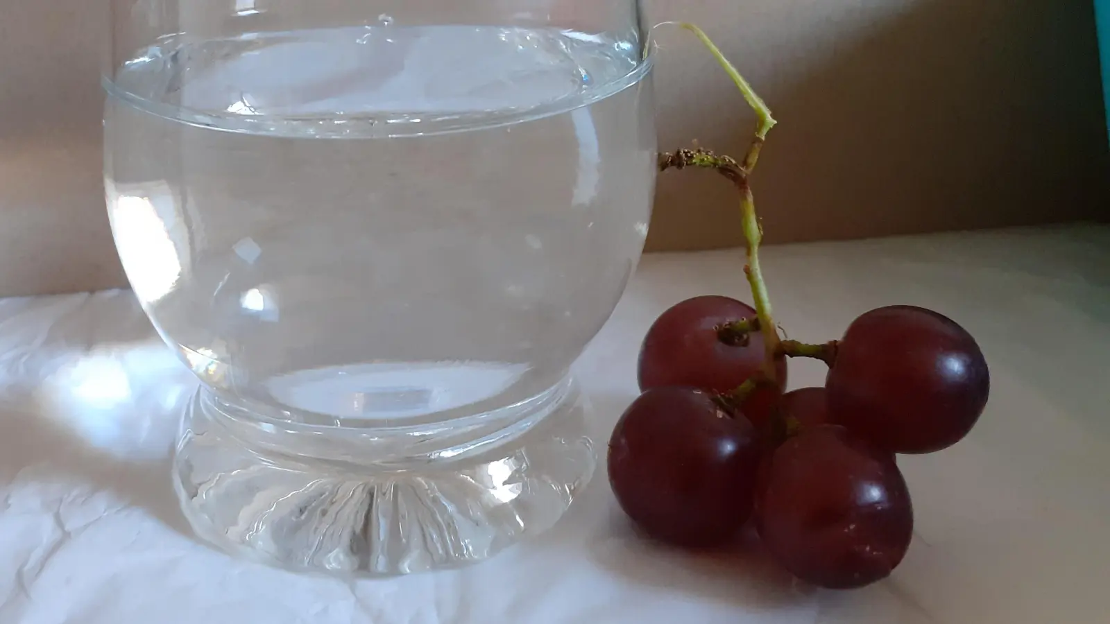 Ein ausgezeichneter Winzer aus Franken präsentiert seine Lieblingsweine. (Foto: mha)