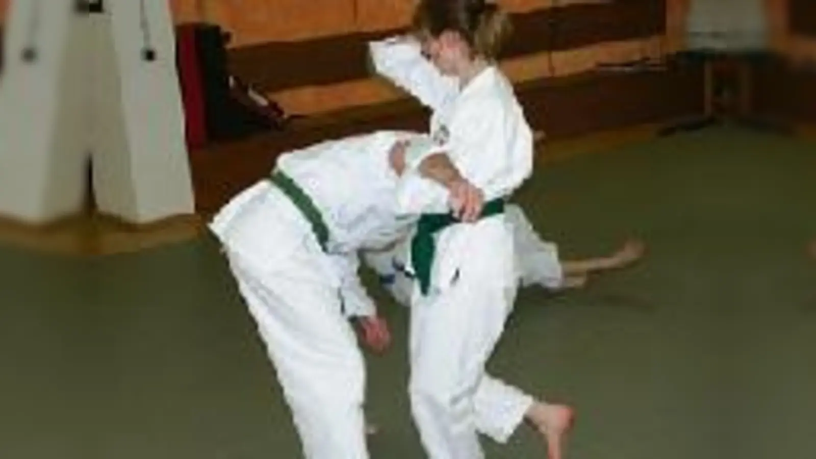 Hau den Lukas: Selbst zierliche Personen können sich mit Jiu-Jitsu gegen körperlich überlegene Angreifer zur Wehr setzen.  (Foto: jim)