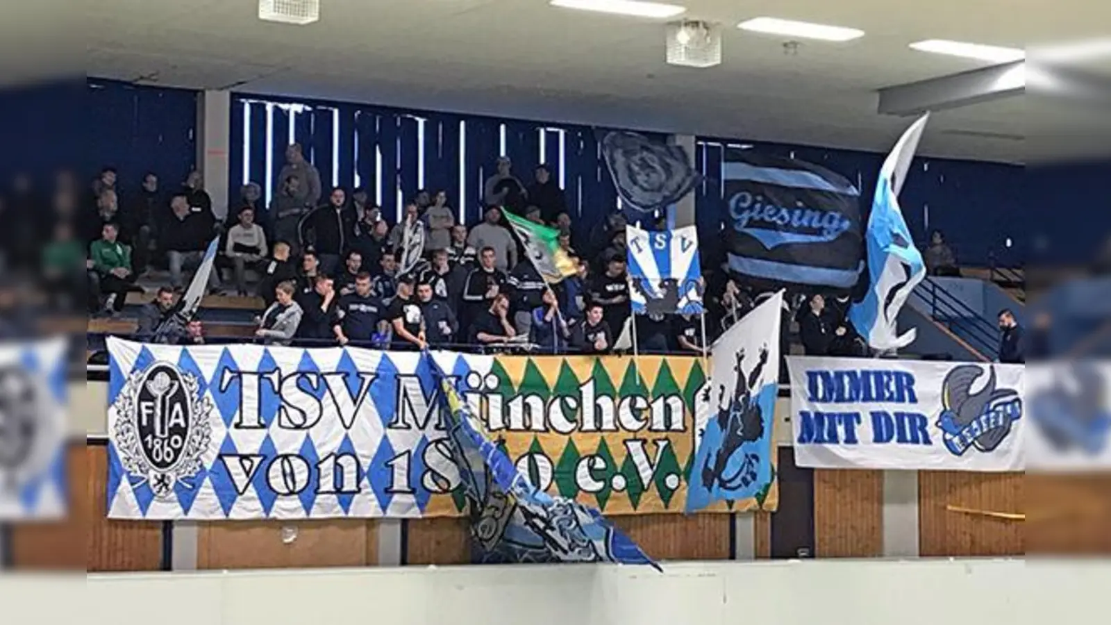 Budenzauber: Amateur-Löwen auf dem Parkett.  (Foto: as)