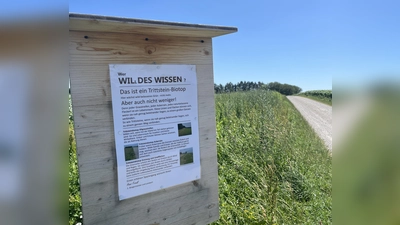 Was ist eigentlich ein Trittstein-Biotop? Diese Tafel am Wegesrand liefert die Antwort. (Foto: Friedl)