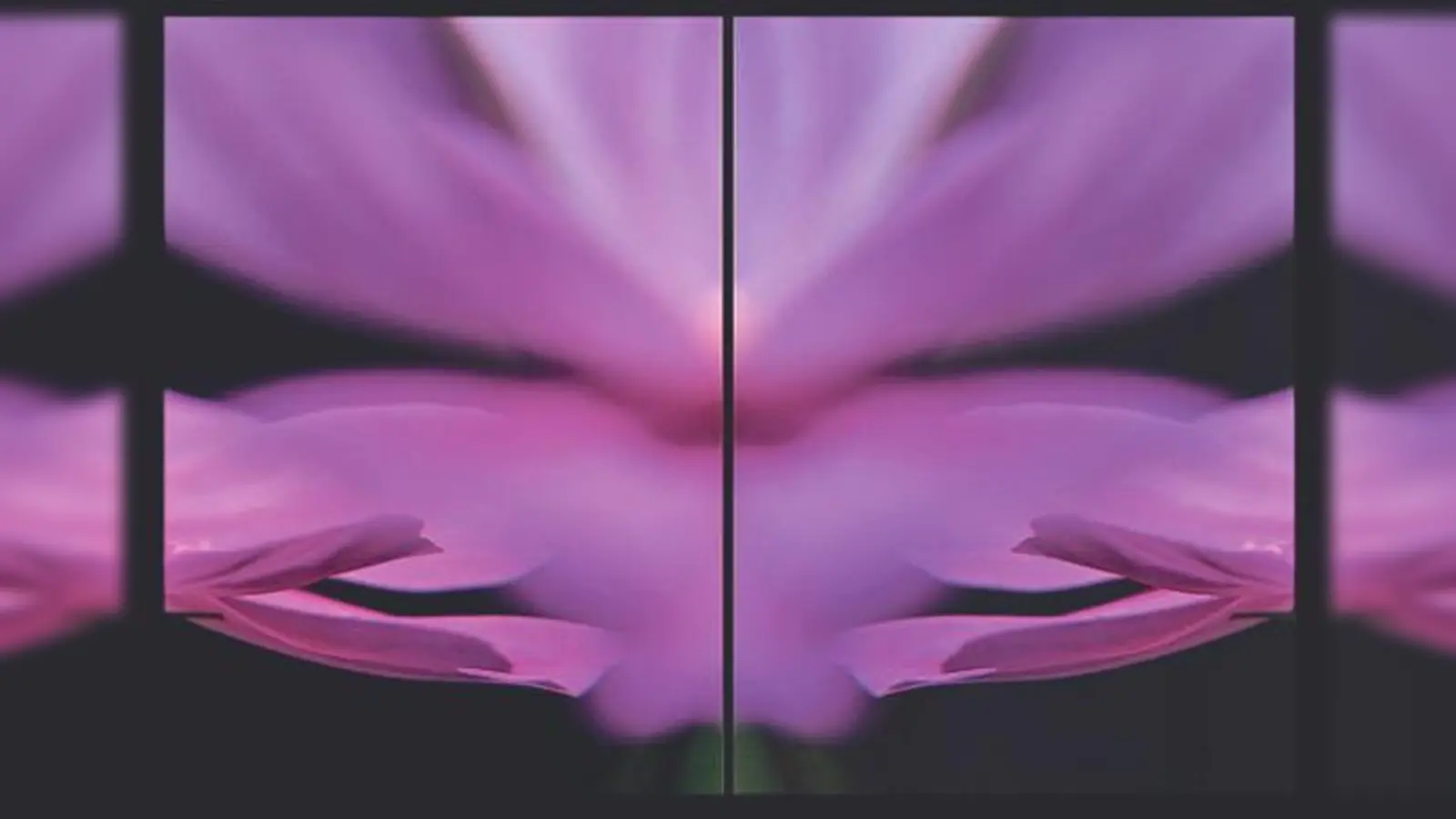 Marlen Peix stellt ihre Werke ab Freitag in der Mohr-Villa in Freimann aus. 	 (Foto: VA)