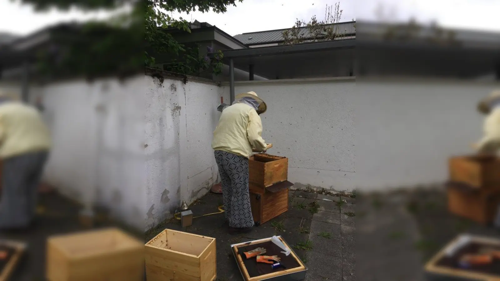 Im Pfarrgarten von „Zwölf Apostel“ wohnt jetzt ein Bienenvolk. Imkerin Cornelia Theus unterstützt den benachbarten Kindergarten dabei, den Bienen ein gutes Zuhause zu schaffen. (Foto: Tanja Stierl-Maricic)