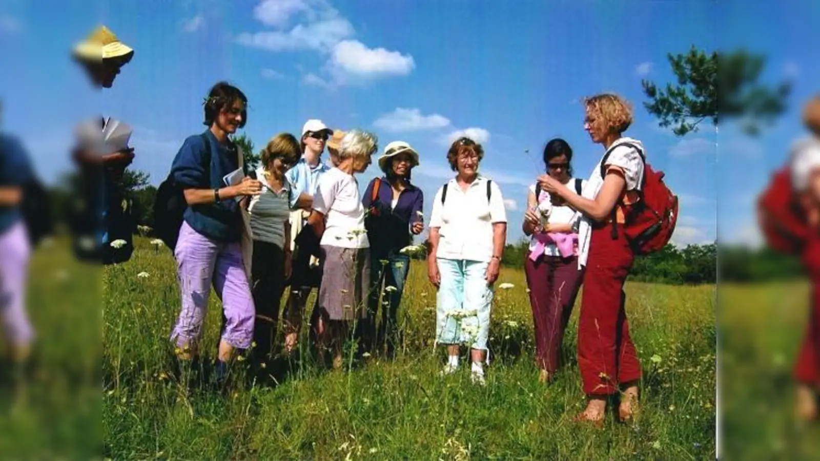 Auch vor der Haustür findet man wertvolle, heilende Kräuter. 	 (Foto: VA)