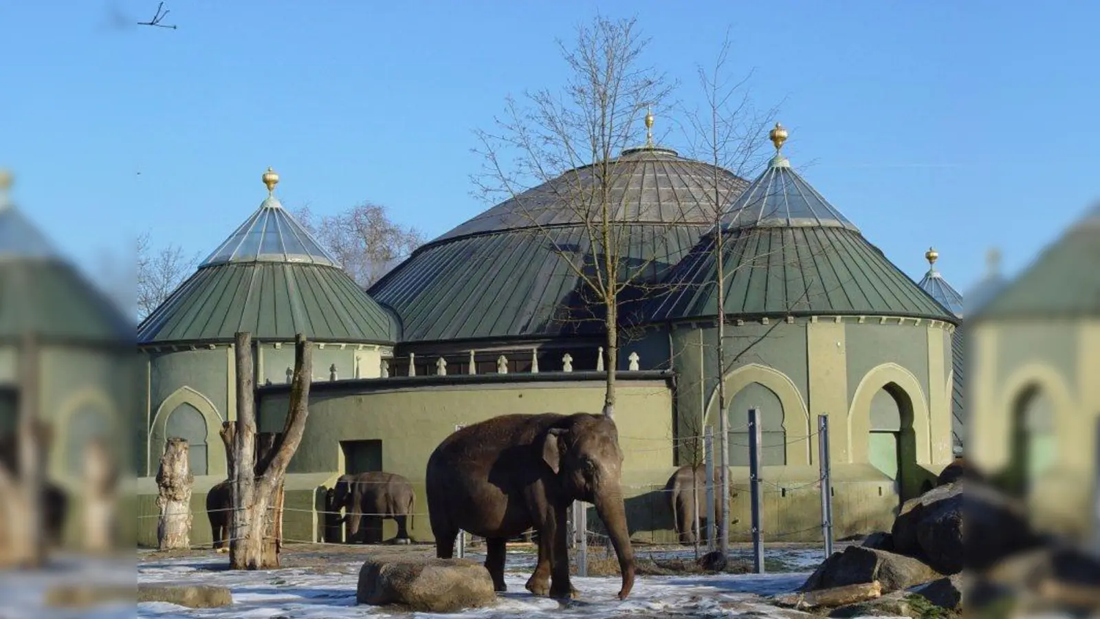 Das Elefantenhaus im Winter vor der Renovierung. Um dieses imposante Gebäude und seine Bewohner dreht sich der Vortrag von Thomas Günther im Rahmen der ZSM-Sonntagsöffnung am 14. Februar. (Foto: Hellabrunn)