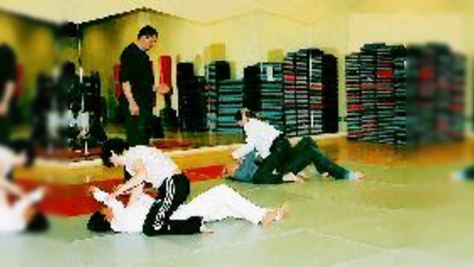 Auch Bodenkampf steht beim Selbstverteidigungskurs des Budokan-Instituts auf dem Programm.	 (Foto: VA)