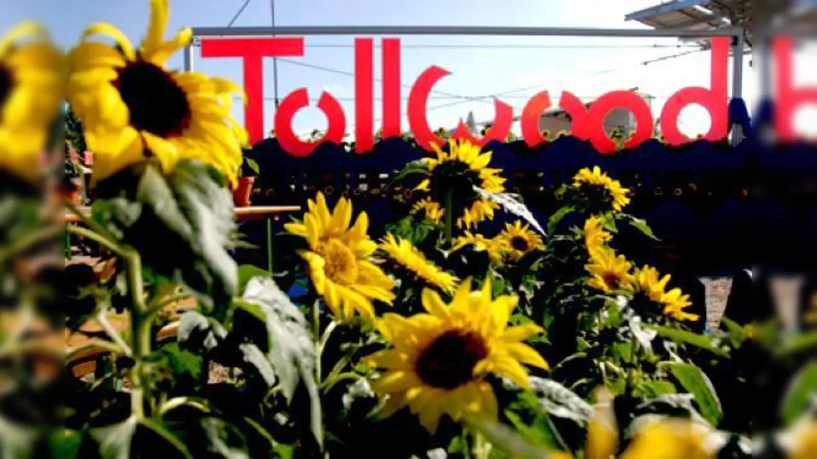 Foto: Bernd Wackerbauer