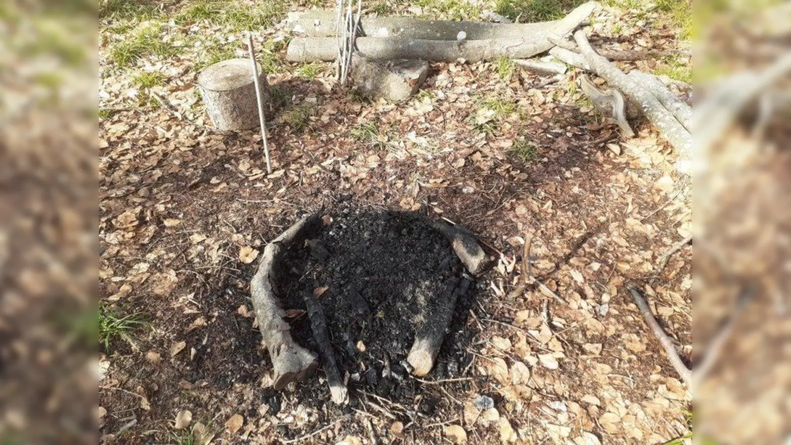 Ein Lagerfeuer mit Stämmen und Ästen zum Sitzen und Stöcken zum Grillen hat der Förster im Wald entdeckt. (Foto: Laußer)