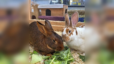 Frau Hoppel und Tonga. (Foto: Tierheim Riem)