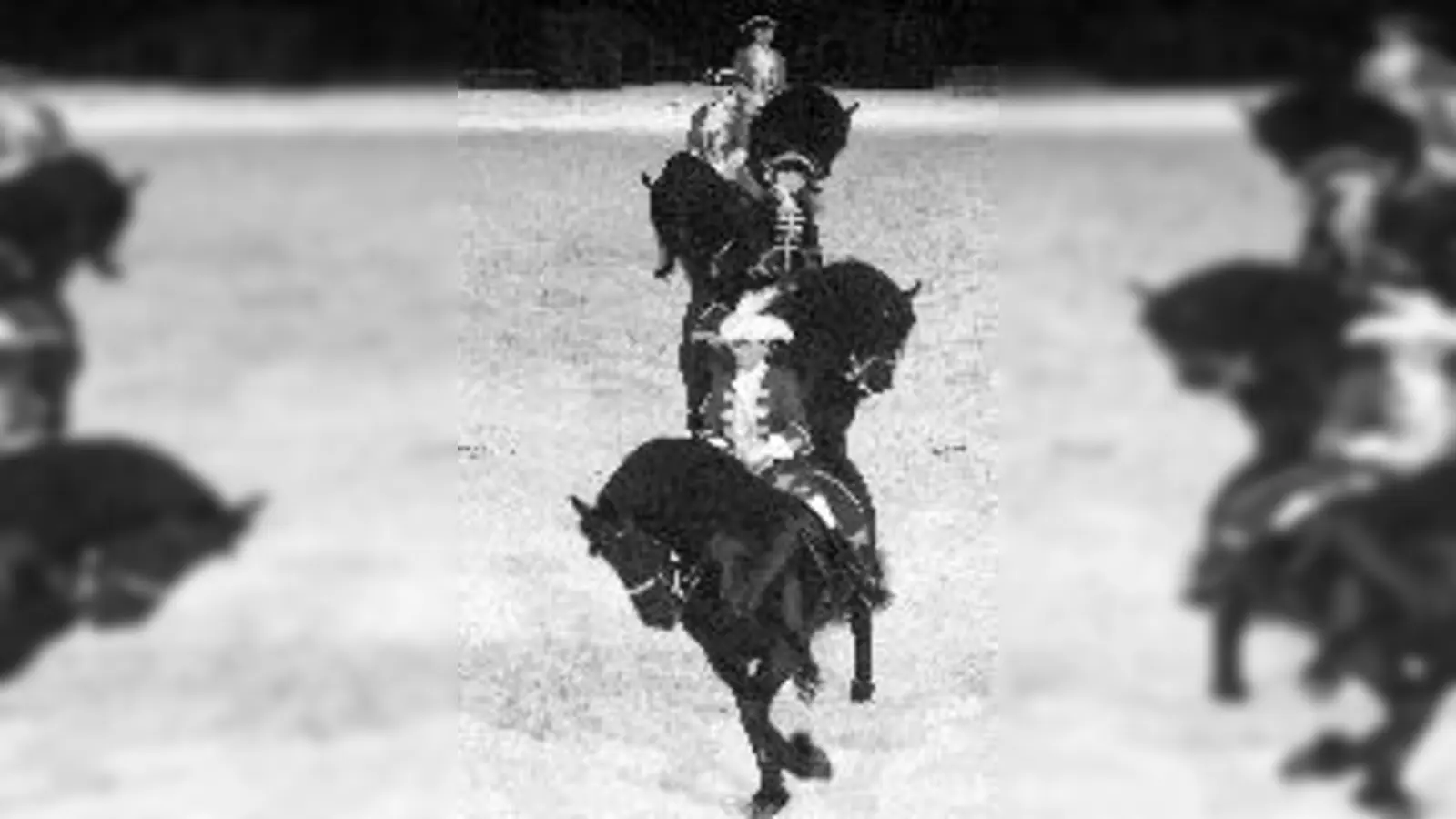 Dressur in  (Foto: Friesenquadrille bei der)