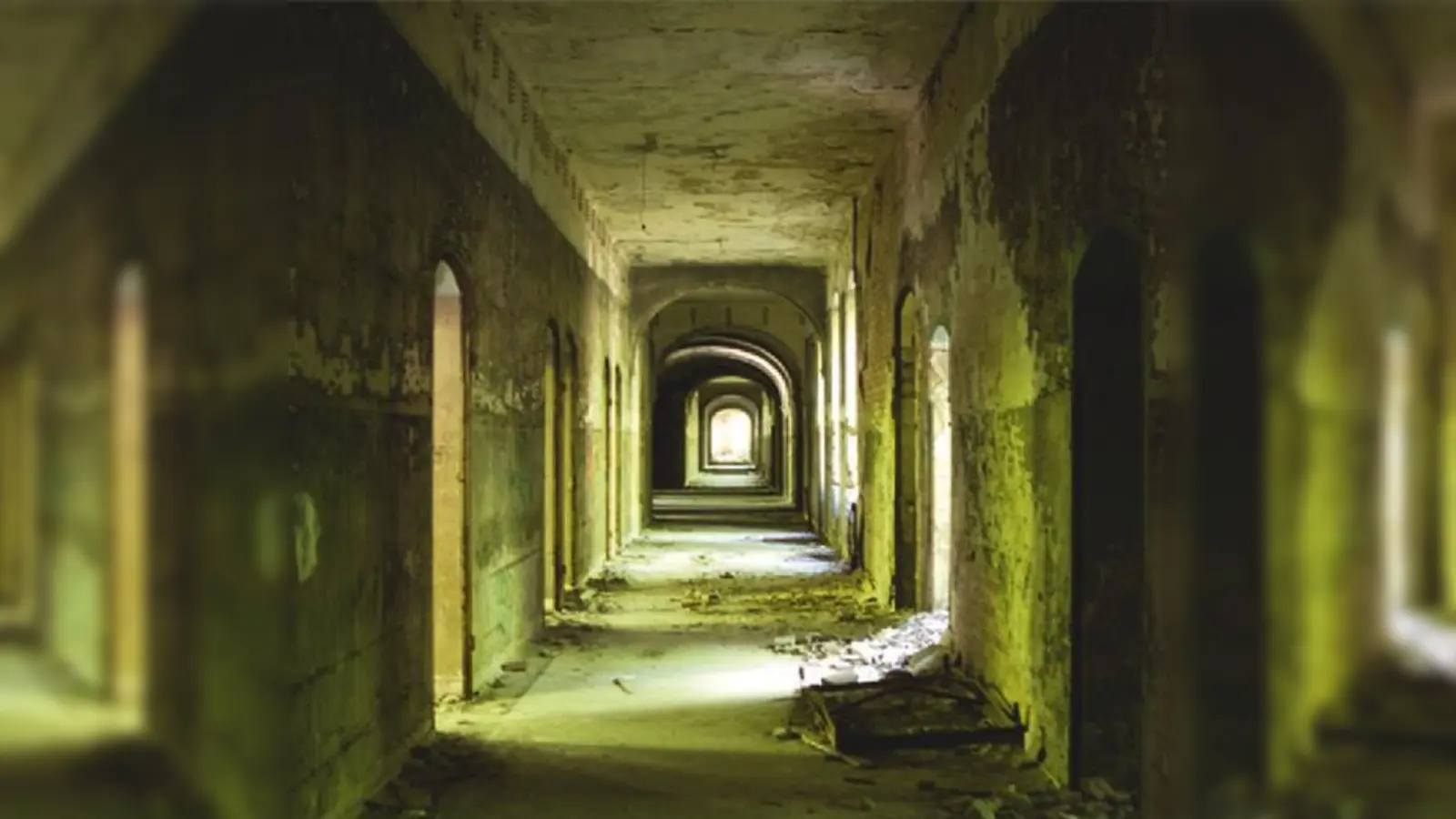 Poesie des Vorfalls: Magdalena Löschners Aufnahmen von den Beelitz-Heilstätten.	 (Foto: VA)