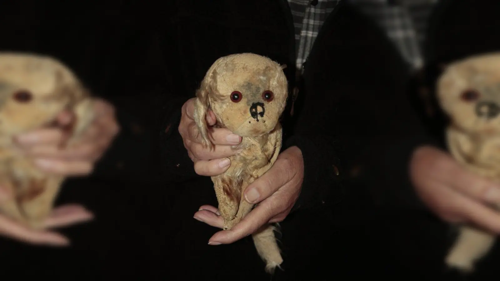 Der Vater, der in den Krieg ziehen musste, schenkte seinem kleinen Sohn Walter den Stoffhund Joppi. Das Kuscheltier hat zwar ein Ohr verloren, aber mit ihm die Bombennacht 1943 überstanden. (Foto: job)