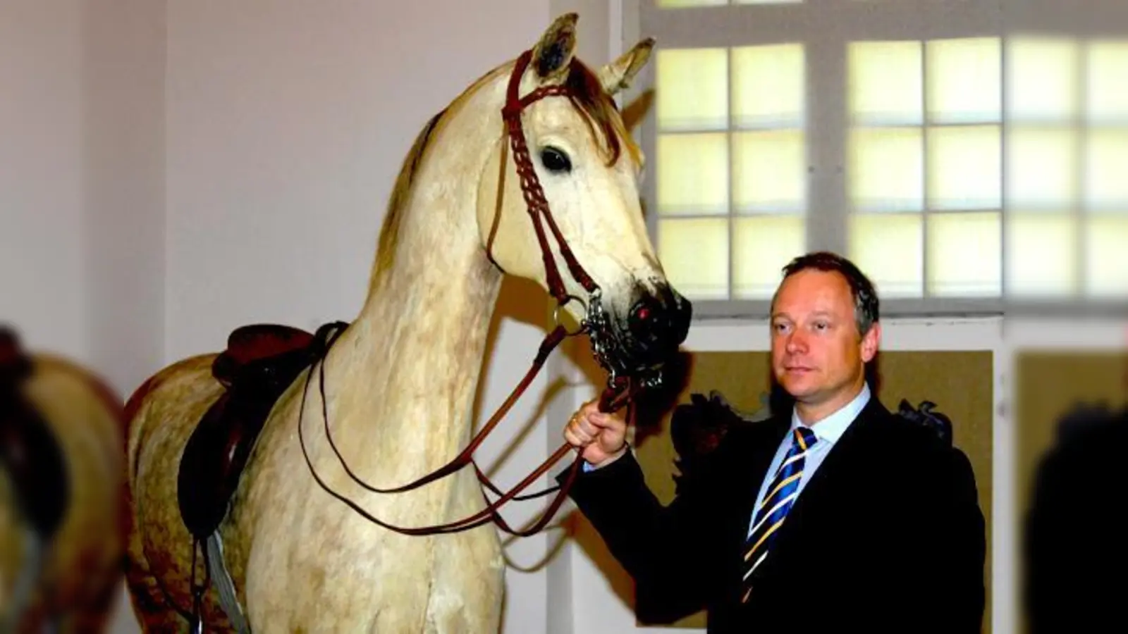 Finanzminister Georg Fahrenschon mit dem Präparat des Apfelschimmels Cosa Rara, Lieblingspferd von König Ludwigs II.  (Foto: STMF Bayern)