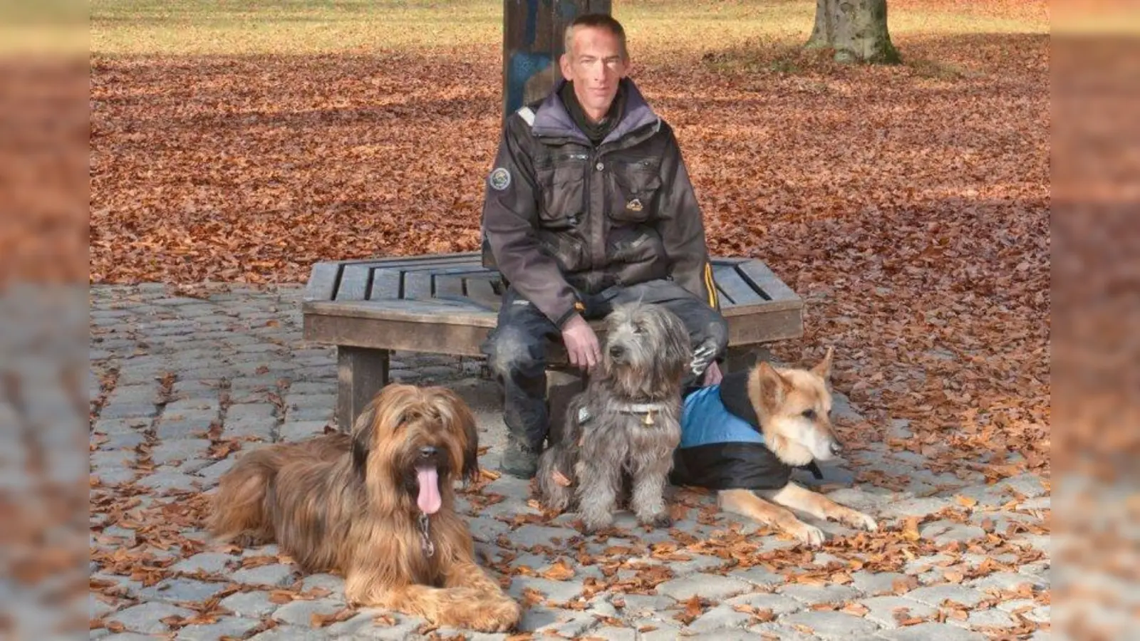 Wedigo von Wedel, Fachkraft für tiergestützte Therapie und Pädagogik beim H-TEAM e.V. mit seinen Hunden Vidisha,Thimpa und Nagano. (Foto: Torsten Sowa)