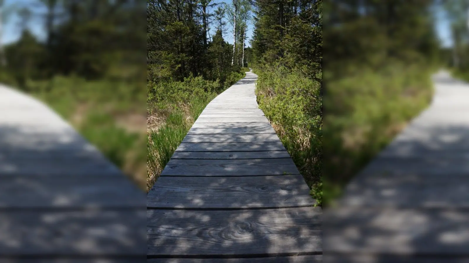 Es geht weiter, wenn man weitergeht. (Foto: Angelika Braner)