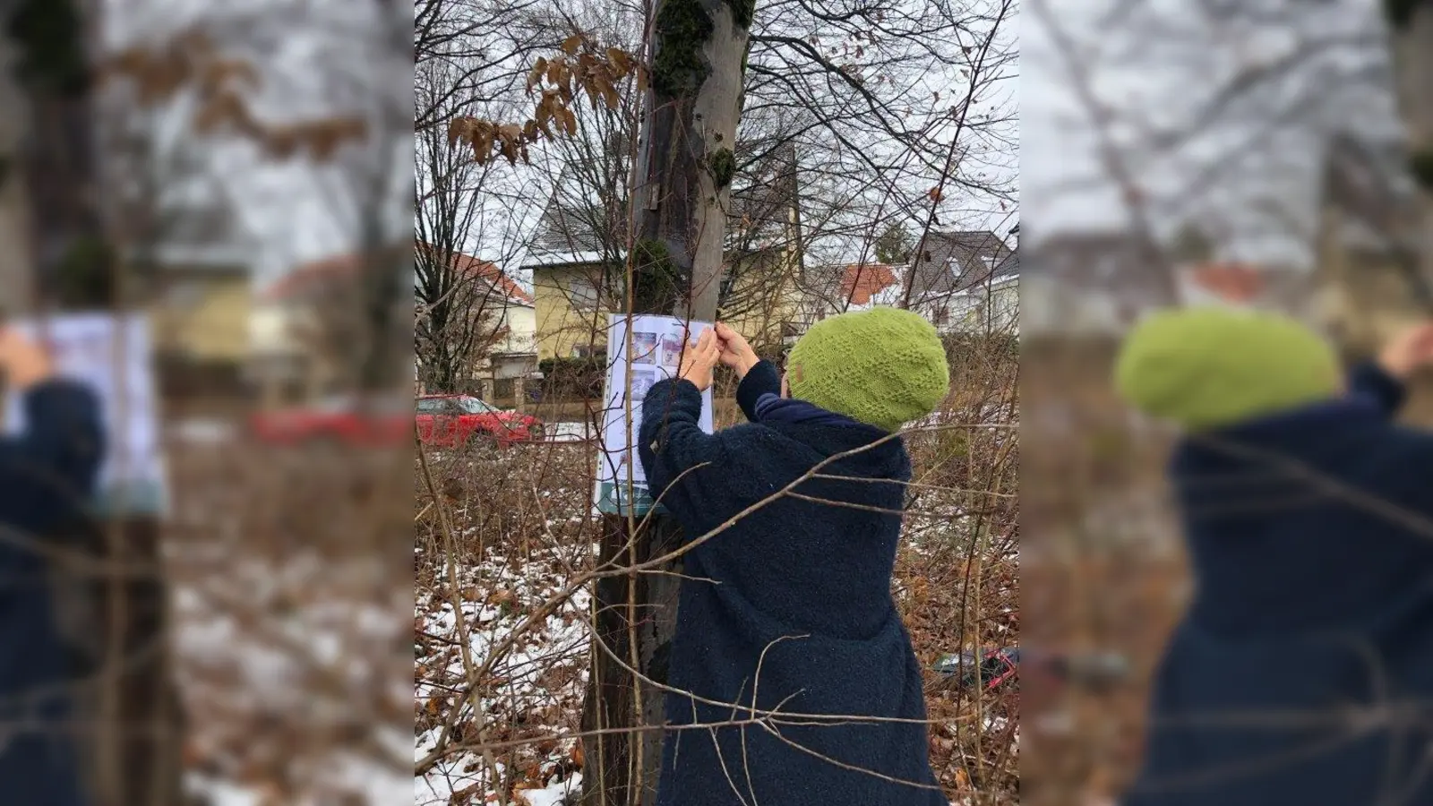 Der BN ruft die Münchner dazu auf, bis zum 20. Dezember ihrem Lieblingsbaum in der Gotthardstraße einen Abschiedsgruß umzuhängen und sich so von den Bäumen zu verabschieden. (Foto: BN)