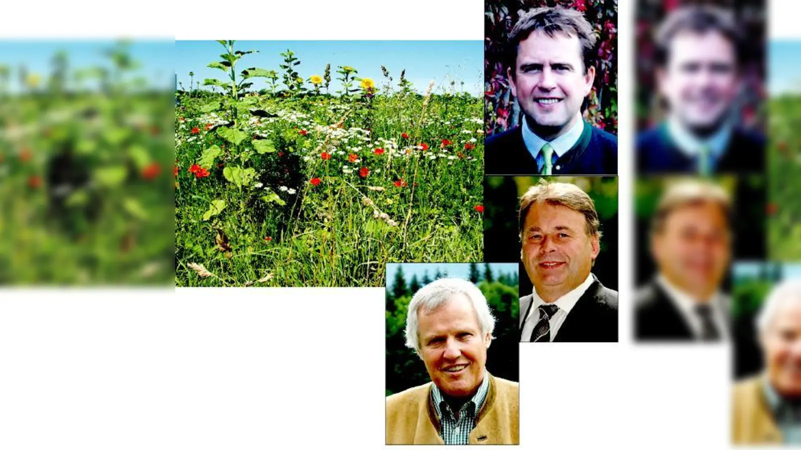 Artenreiche Wiesen sind wichtig für die heimische Fauna und Flora. Jürgen Vocke, (unten), Präsident d. Bay. Jagdverbandes, Helmut Brunner, (unten li.), Bay. Landwirtschaftsminister, Thomas Schreder, (oben), Biologe u. Pressesprecher des BJV.  (F.: BJV/stmel)