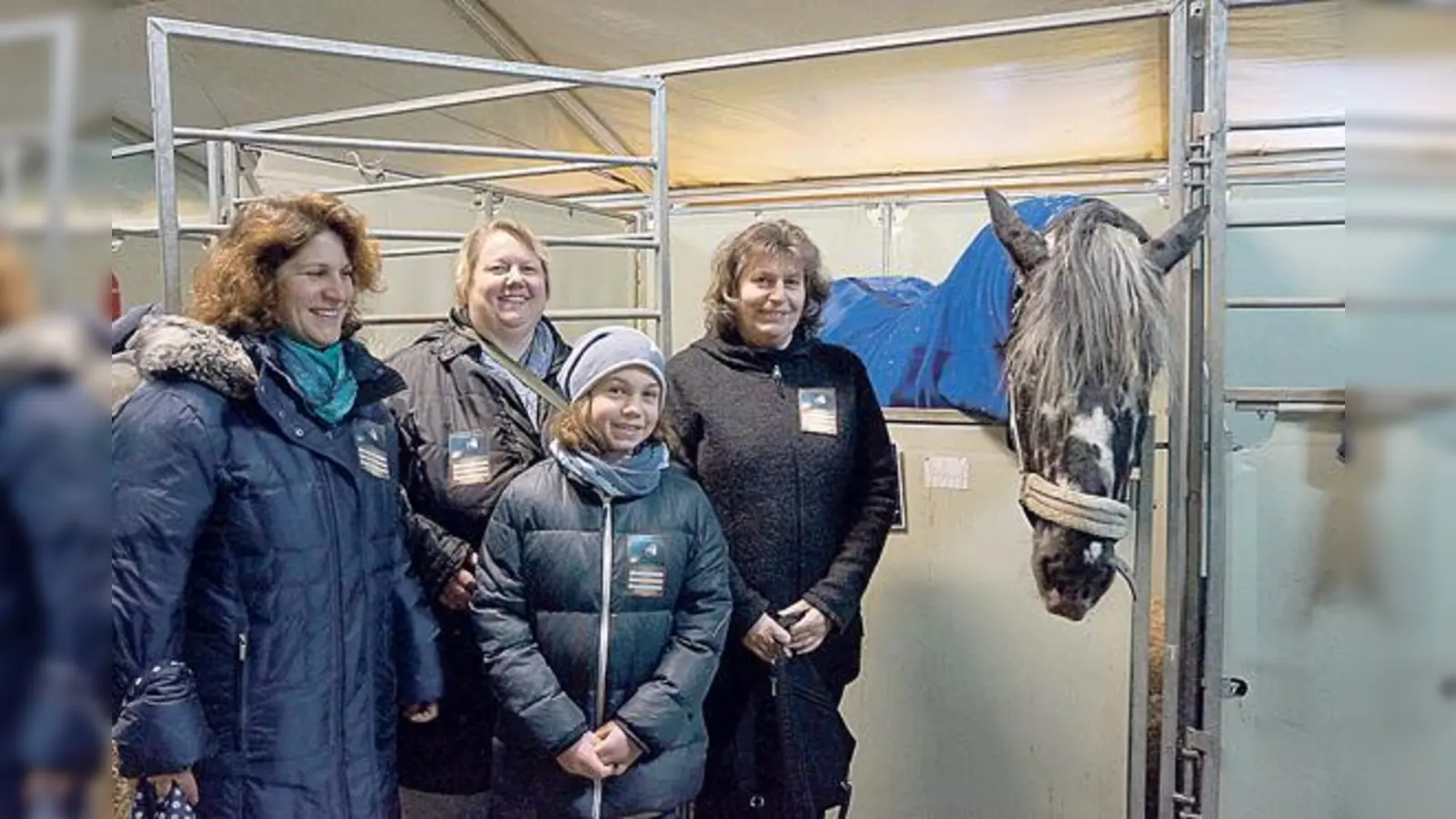 Eva Forster, Conny Gillmann, Monika und Lea Feldmann freuten sich, bei der Führung Noriker Thomas ganz aus der Nähe bewundern zu dürfen. 	 (Foto: hw)