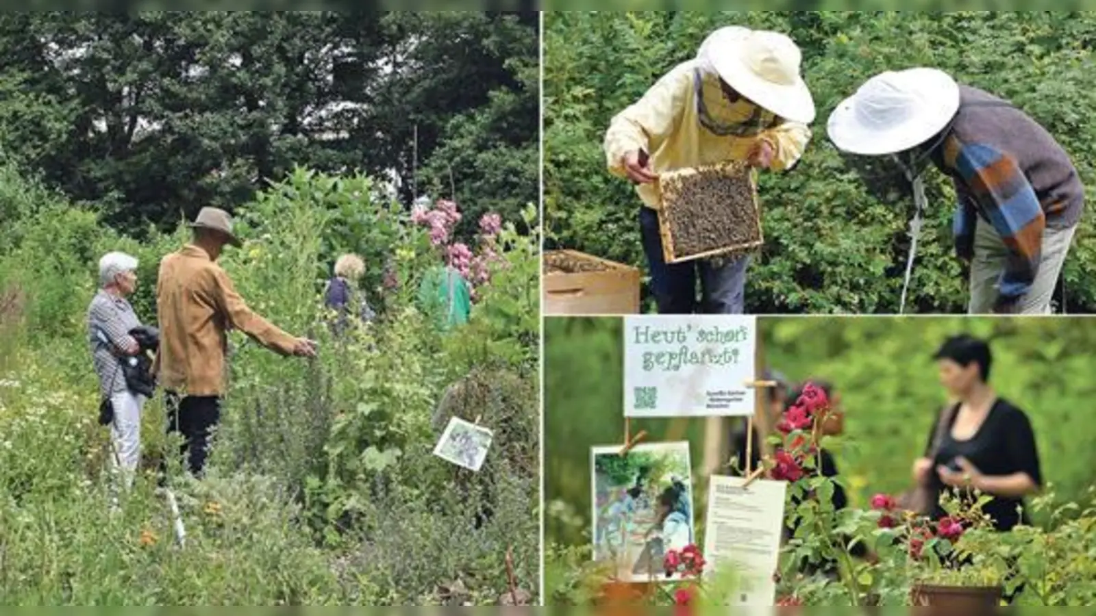 Am 24. Juni lädt das ÖBZ anlässlich des Tags der offenen Gartentür auch dieses Jahr zur Besichtigung des ÖBZ-Geländes und seinen Gärten ein.  (Fotos: ÖBZ)