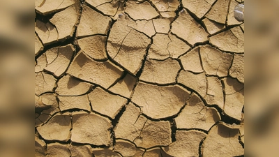 Der Klimawandel und seine gravierenden Folgen sind nicht abzusehen.  (Foto: CC0)