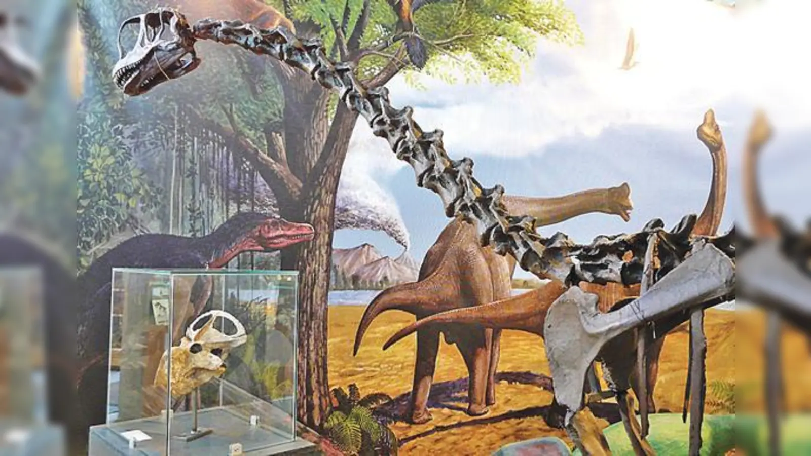 Der Europasaurus war ein echter Brocken, auch wenn er größere Verwandte hatte.	 (Foto: VA)