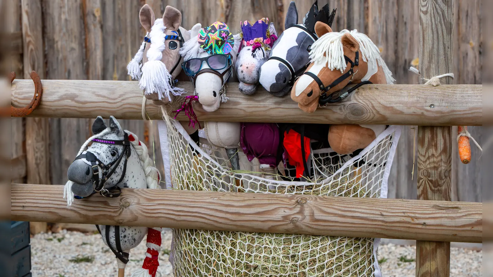 Sie alle warten schon auf ihren großen Einsatz beim Hobby Horsing Turnier. Die Zuschauer erleben, wie man auf Steckenpferden Dressur-, Spring- und weitere Prüfungen abgelegt. Ein Hufschmied ist nicht dabei. (Foto: Philipp Hayer)