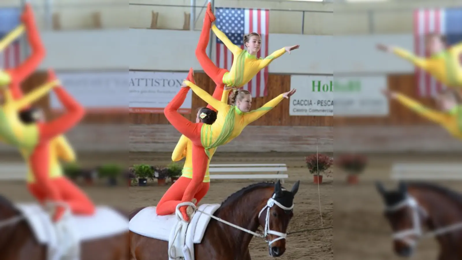 Eine große Chance: Beim Turnier in Warendorf geht es für die Reiter um WM-Tickets. 	 (Foto: Claudia Ostermaier)