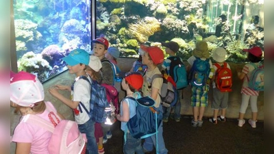 Die Kindergartenkinder aus Eglharting staunten über die Tiere des Zoos.	 (Foto: privat)