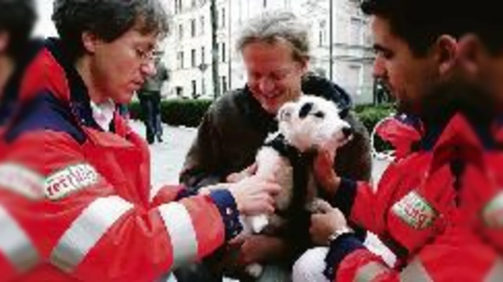 Schnittverletzungen sind einer der häufigsten Einsatzgründe der »Tierrettung«: Gábor Horváth (l.) und Konstantin Haucke verbinden Terrier Zenzi.  (Foto: ko)