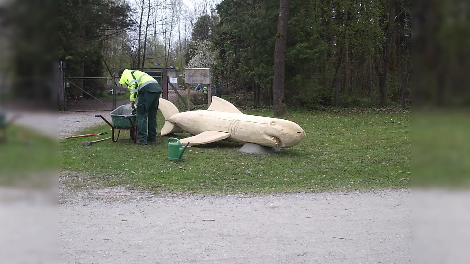Am Südufer des Eisweihers liegt ein Hai auf der Lauer. (Foto: Gemeinde Ismaning)