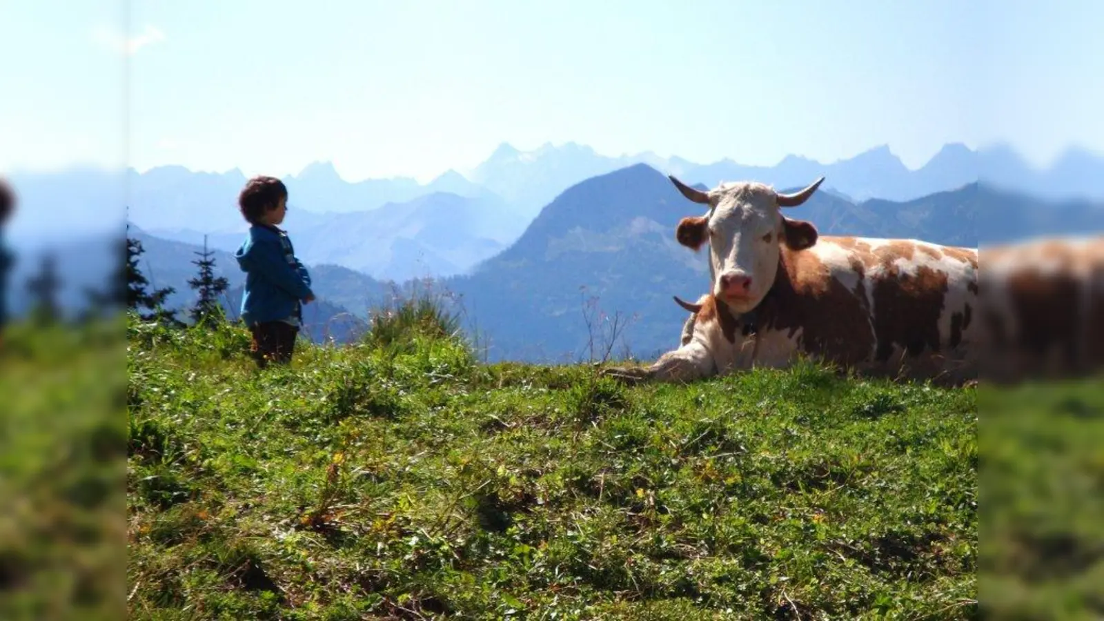 Für dieses Bild von der ersten Wanderung ihres Sohnes auf dem Taubenstein wurde am häufigsten gestimmt. (Foto: Angelika Nowak)