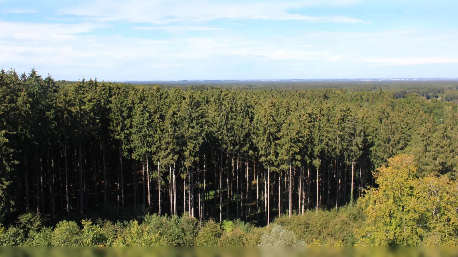 Über die Sagen und Mythen rund um den Ebersberger Forst findet am 27. April eine Führung statt. (Foto: sd)